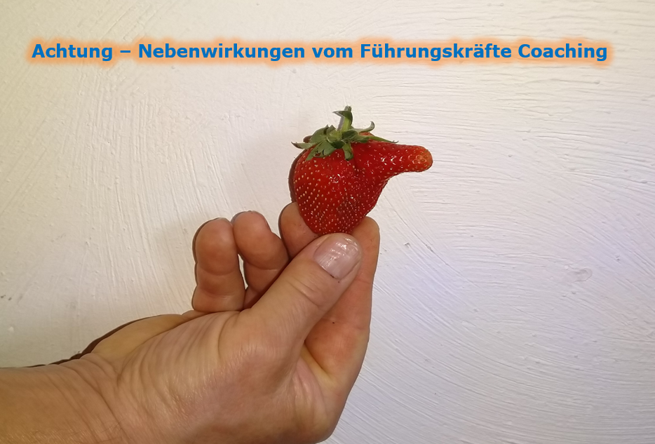 Sideeffekts Führungskräfte Coaching